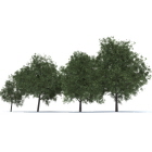 4 maple low poly maybe you like this