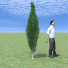 1224