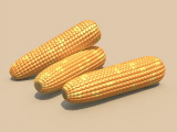 1334