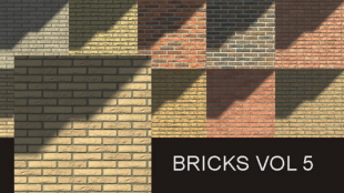 bricksvol5
